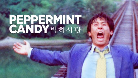 Peppermint Candy cover image cdn