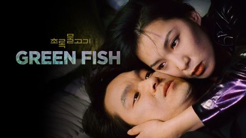 Green Fish cover image cdn