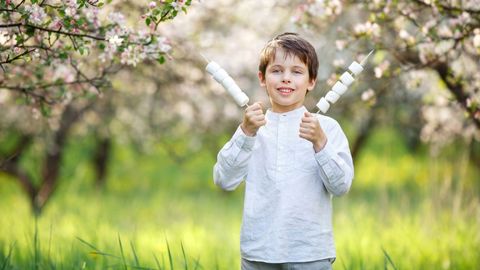 Scientific Secrets for Self-Control. Episode 3 Marshmallows, Monkeys, and Mortality cover image cdn