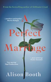 A Perfect Marriage cover image cdn
