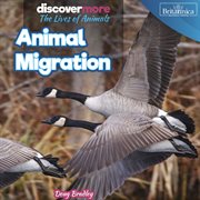 Animal Migration cover image cdn