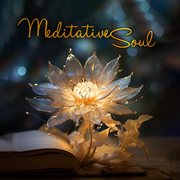 Meditative Soul cover image cdn
