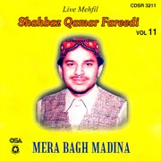 Mera Bagh Madina, Vol. 11 cover image cdn