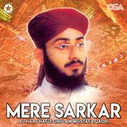 Mere Sarkar cover image cdn