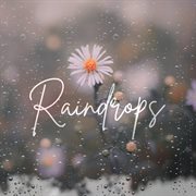 Raindrops cover image cdn