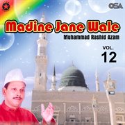 Madine Jane Wale, Vol. 12 cover image cdn