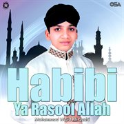 Habibi Ya Rasool Allah cover image cdn