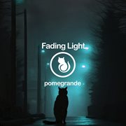 Fading Light cover image cdn