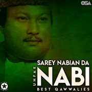 Sarey Nabian Da Nabi [Best Qawwalies] cover image cdn