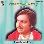 Punjabi Mehfil, Vol. 5 cover image cdn