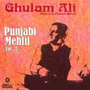 Punjabi Mehfil, Vol. 3 cover image cdn