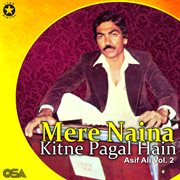 Mere Naina Kitne Pagal Hain, Vol. 2 cover image cdn