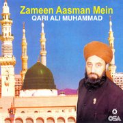 Zameen Aasman Mein cover image cdn