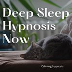 Deep Sleep Hypnosis Now cover image cdn