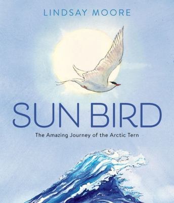 Sun bird : the amazing journey of the Arctic tern  cover image cdn