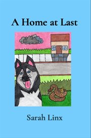 A Home at Last cover image cdn