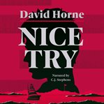 Nice Try cover image cdn