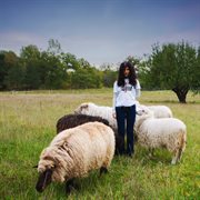 Catharsis cover image cdn