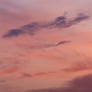 Someday cover image cdn