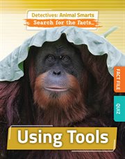 Using Tools cover image cdn