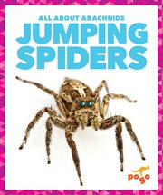 Jumping Spiders cover image cdn
