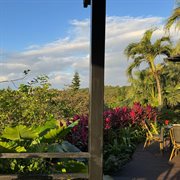 Music Diary Vol.9 cover image cdn