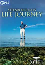Attenborough's life journey cover image cdn