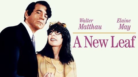 A New Leaf cover image cdn