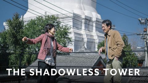 The Shadowless Tower cover image cdn