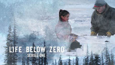 Life Below Zero: S1 cover image cdn