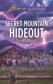 Secret Mountain Hideout cover image cdn