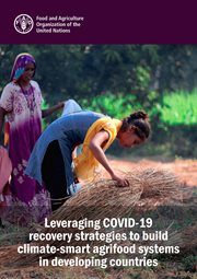Leveraging COVID-19 Recovery Strategies to Build Climate-Smart Agrifood Systems in Developing Countr cover image cdn