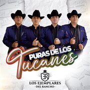 Puras De Los Tucanes cover image cdn