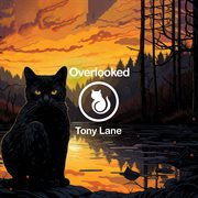 Overlooked cover image cdn