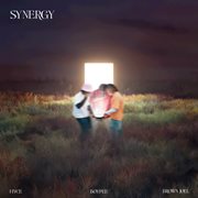Synergy cover image cdn