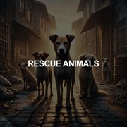 Rescue Animal cover image cdn