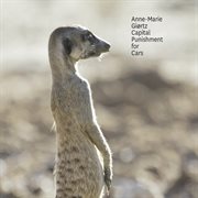 Capital Punishment For Cars cover image cdn