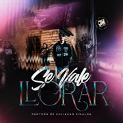 Se Vale Llorar cover image cdn