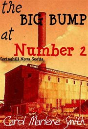 The Big Bump at Number 2 cover image cdn