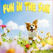 Fun In The Sun cover image cdn