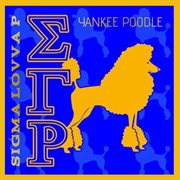 Yankee Poodle cover image cdn
