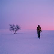 Høysang cover image cdn