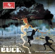 Maze Of Infinite Forms cover image cdn