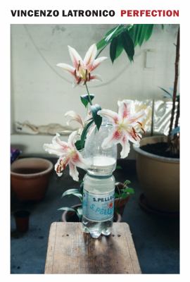 Perfection  cover image cdn