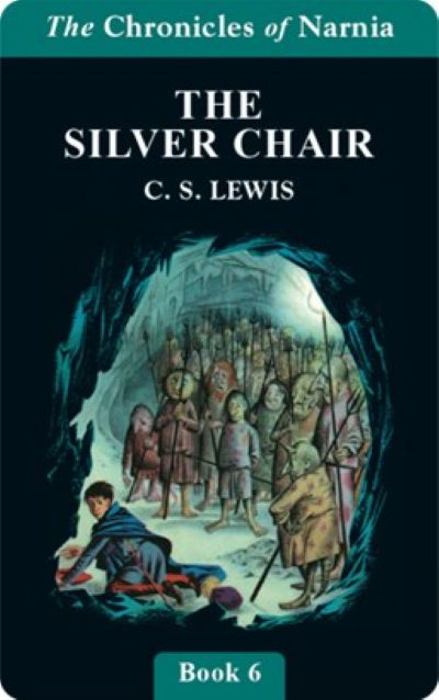 The silver chair cover image cdn