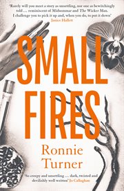 Small Fires cover image cdn