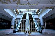 Flexible Survival: Mall cover image cdn