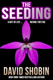 The Seeding cover image cdn