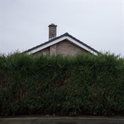 Still... At Their Very Best cover image cdn