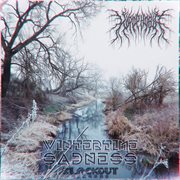 Wintertime Sadness cover image cdn